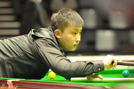 年的羽坛大 年的羽坛大